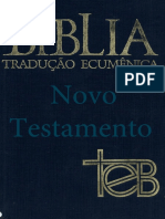 Bíblia de Estudo Ecumenica - Novo Testamento