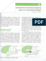 Capítulo 2 neuropsicologia