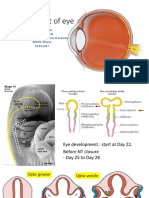 Development of Eye: To Mbbs 2 Year Dr. Laxman Khanal Assistant Professor, Department of Anatomy BPKIHS, Dharan 02-04-2017