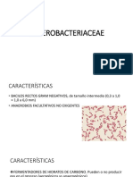 ENTEROBACTERIACEAE