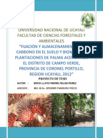 PROYECTO DE TESIS LLOID-CARBONO EN PALMA ACEITERA.pdf