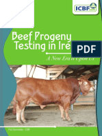 Beef Progeny Test Overview