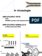 7 DG Molecular HIV PDF