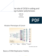 Assessing The Role of Ctf18 in Aiding and Abetting Mutator Polymerases