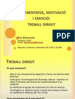 Treball Dirigit 13-14