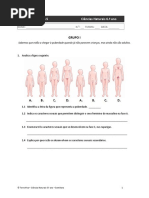 SANTILLANA_CN6_Ficha-avaliacao-complementar-5.docx