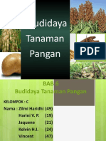 BUDIDAYA PANGAN