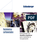 cb_carbonatados_08os071.pdf