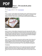 Download Rencana Pembuangan Bayi by Raihan SN38065944 doc pdf