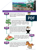 Infografia de La Muerte de Los Arango