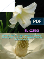 Elciego Pps