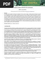 242164542-Artigo-Luciana-Nemer-pdf.pdf