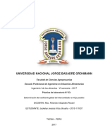 Universidad Nacional Jorge Basadre Grohmann