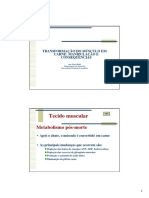 Transformação - Carne PDF