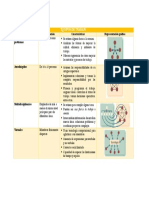 Equipos de Trabajo