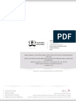 Identificación Medición y Evaluación de Riesgos PDF