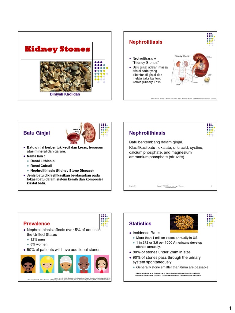 Kidney Stones PDF | PDF | Spesialisasi Medis | Urologi