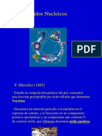 ACIDOS NUCLEICOS-1.ppt
