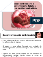 AULA 7 Embriologia Sist. Cardioresp