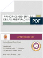 principiosgeneralesdelaspreparaciones.pdf