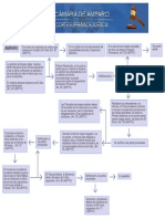esquema-del-amparo-1-2.pdf