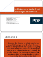 Struktur Serta Mekanisme Kerja Ginjal Pada Sistem Urogenital Manusia