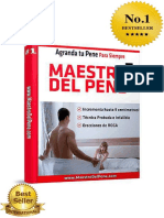 libro maestro del pene.pdf