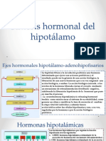 Síntesis Hormonal Del Hipotálamo