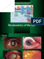 Biochemistry of The Eye