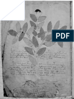 El Manuscrito Voynich