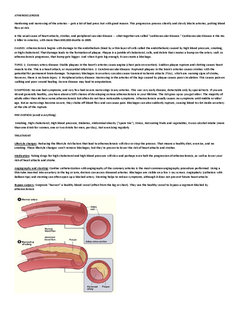 Atherosclerosis | PDF | Atherosclerosis | Atheroma
