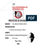 informe siaf.docx