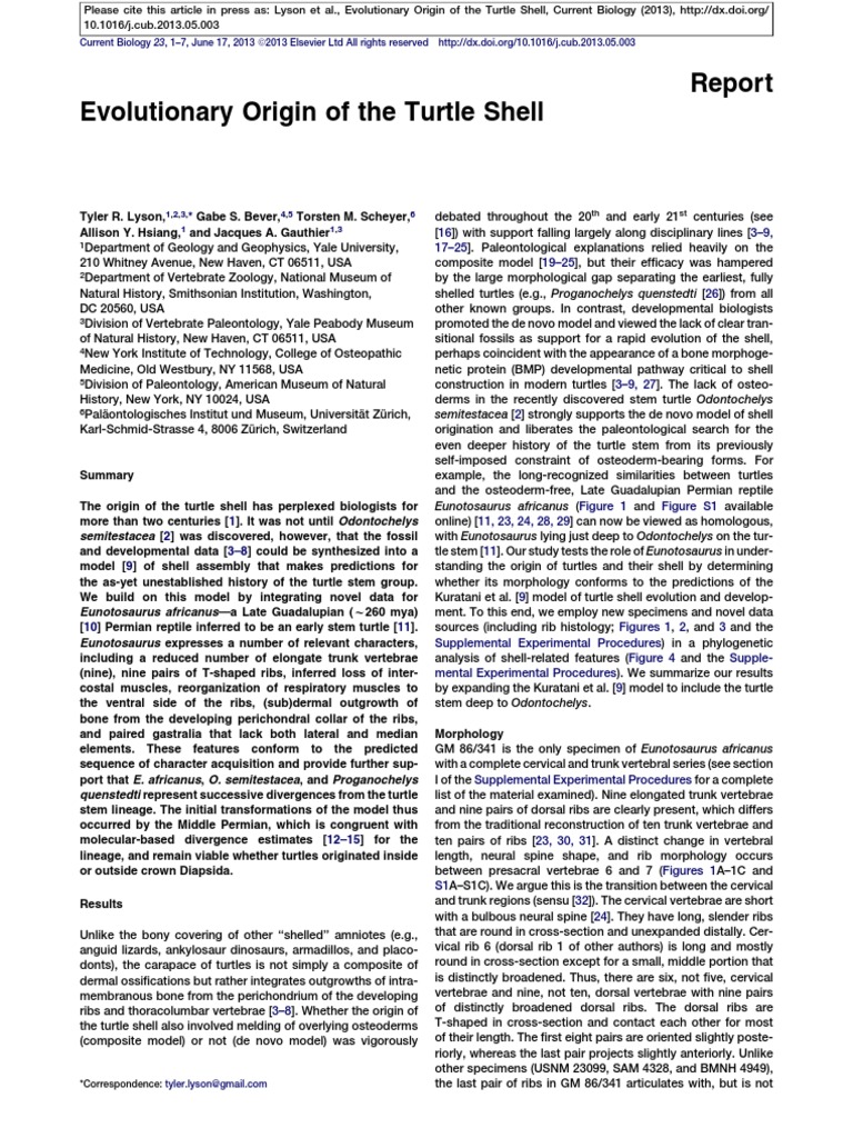 Evolution of the Turtle Shell Explained | PDF | Vertebral Column ...