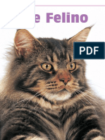 Acne_felino.pdf
