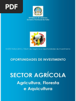 INVESTHuila_S.Agricola_PT1.pdf