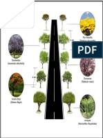 Modelo Distribucion de Arboles en Via