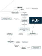 Capital Social.cmap