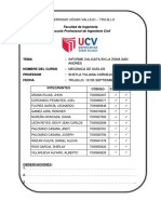 Informe Calicata