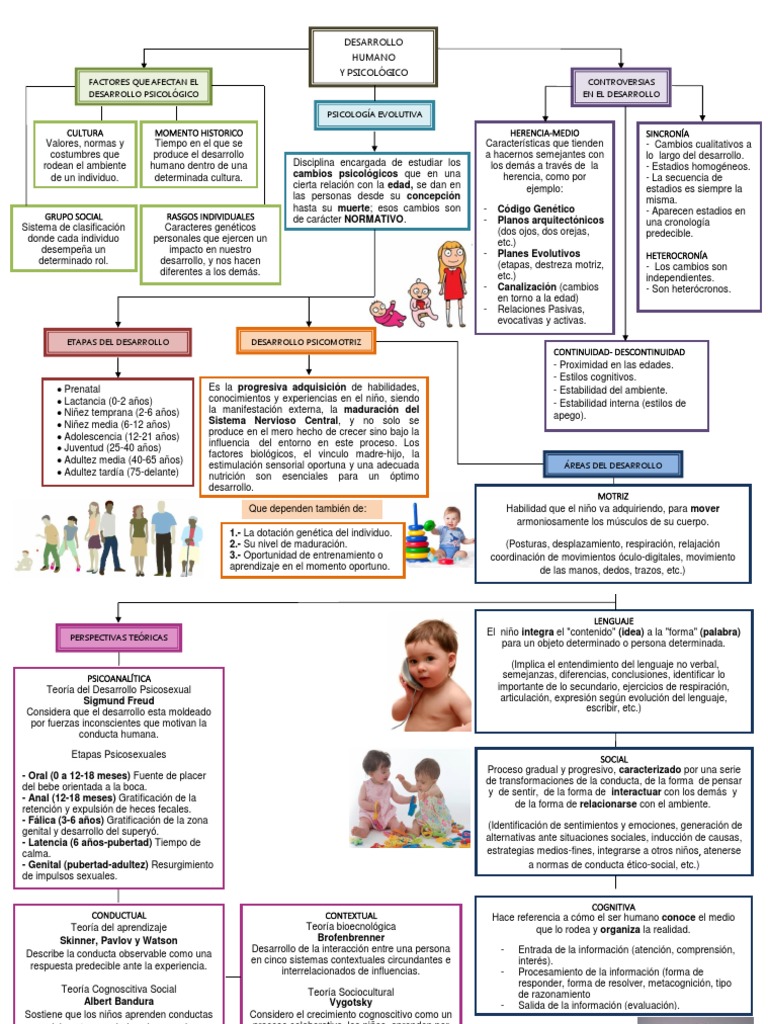 Mapa Conceptual - Desarrollo Humano | PDF | Sicología | Comportamiento