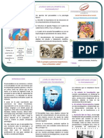 Triptico PDF