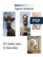 Clase 9 Introducción Sistema Digestivo PDF