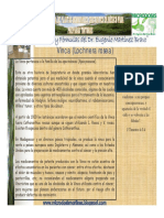 72-Vinca.pdf