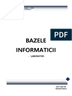 Bazele Informaticii ES - Laborator 1