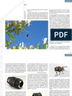 articulo_macrofotografia.pdf