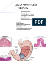 3.patologia Aparatului Digestiv Studenti