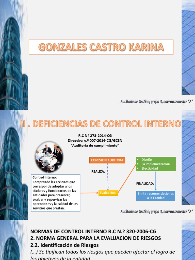 Deficiencias de Control Interno | Auditoría | Naturaleza