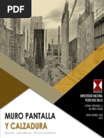 Informe Muro Pantalla y Calzadura