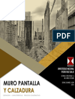 Informe Muro Pantalla y Calzadura