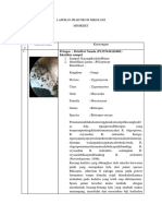 Miniriset Mikologi Kelompok 1