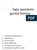 Lp6 - Patologia Aparatului Genital Feminin